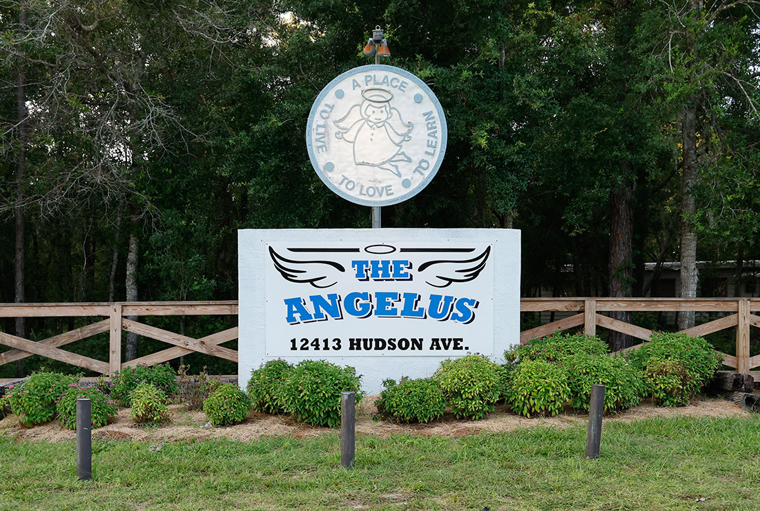Base Image